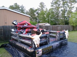 received 3568952303410714 1748568363 Ferdinand the mechanical bull