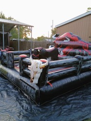 received 3609158732711214 1748568363 Ferdinand the mechanical bull